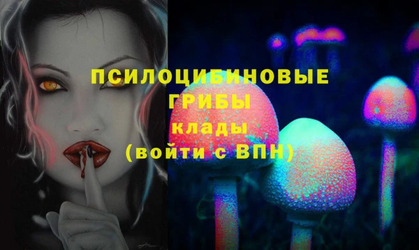спиды Володарск