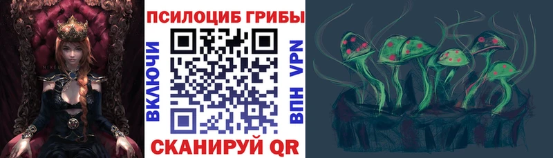 Купить где  Красный Кут  Псилоцибиновые грибы мицелий 